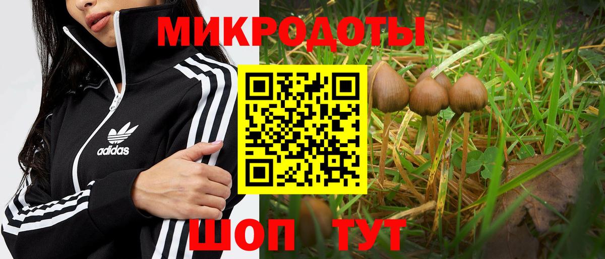 Галлюциногенные грибы MAGIC MUSHROOMS  Галлюциногенные грибы мицелий  Тобольск  Вход с VPN 